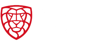 Český florbal